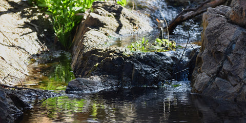 Creek wanderings